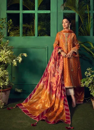 Bahar Burnt Orange Kurta With Pure Tissue Ombre Dupatta