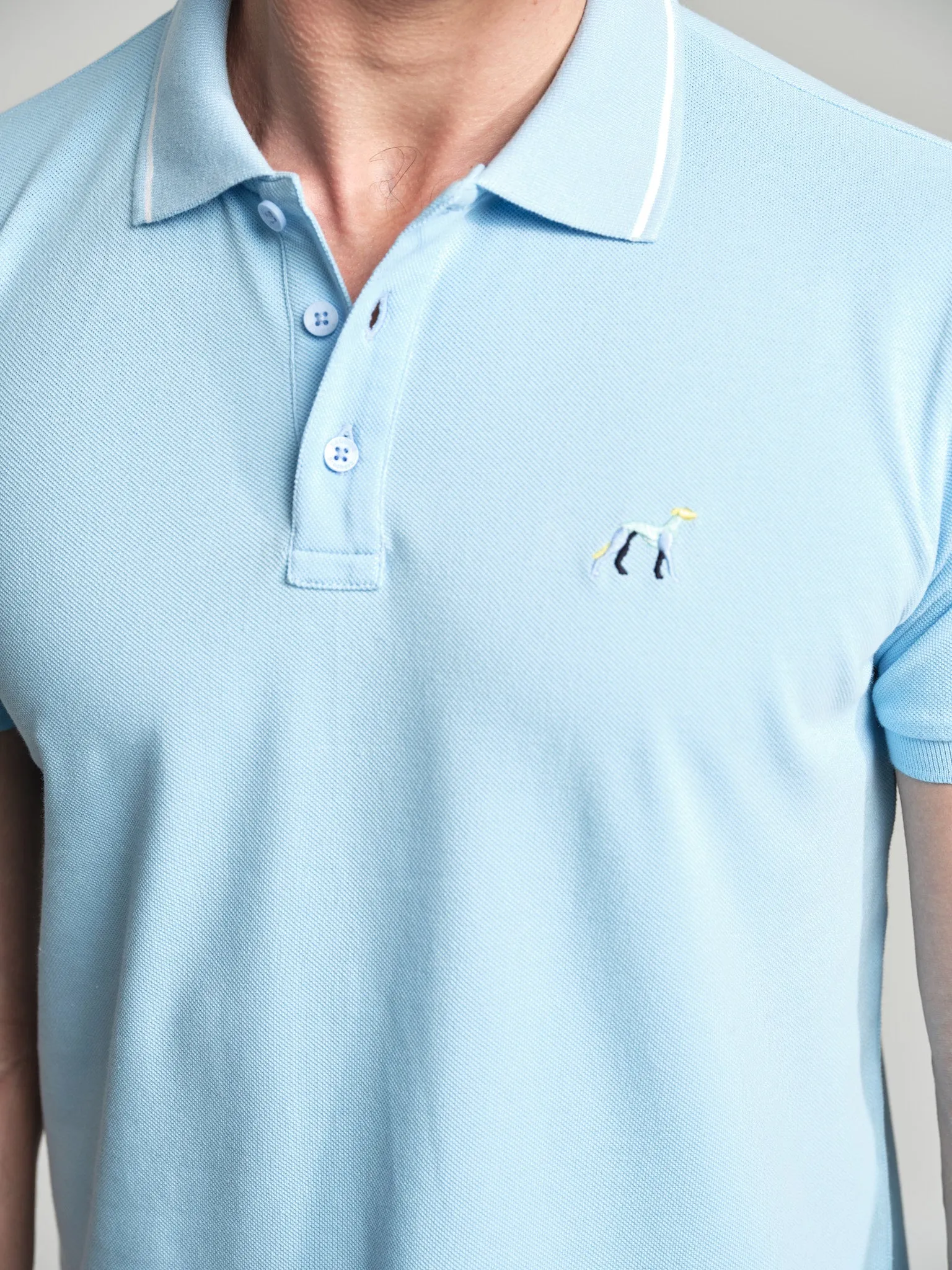 Casual piquet polo shirt with multicolored logo