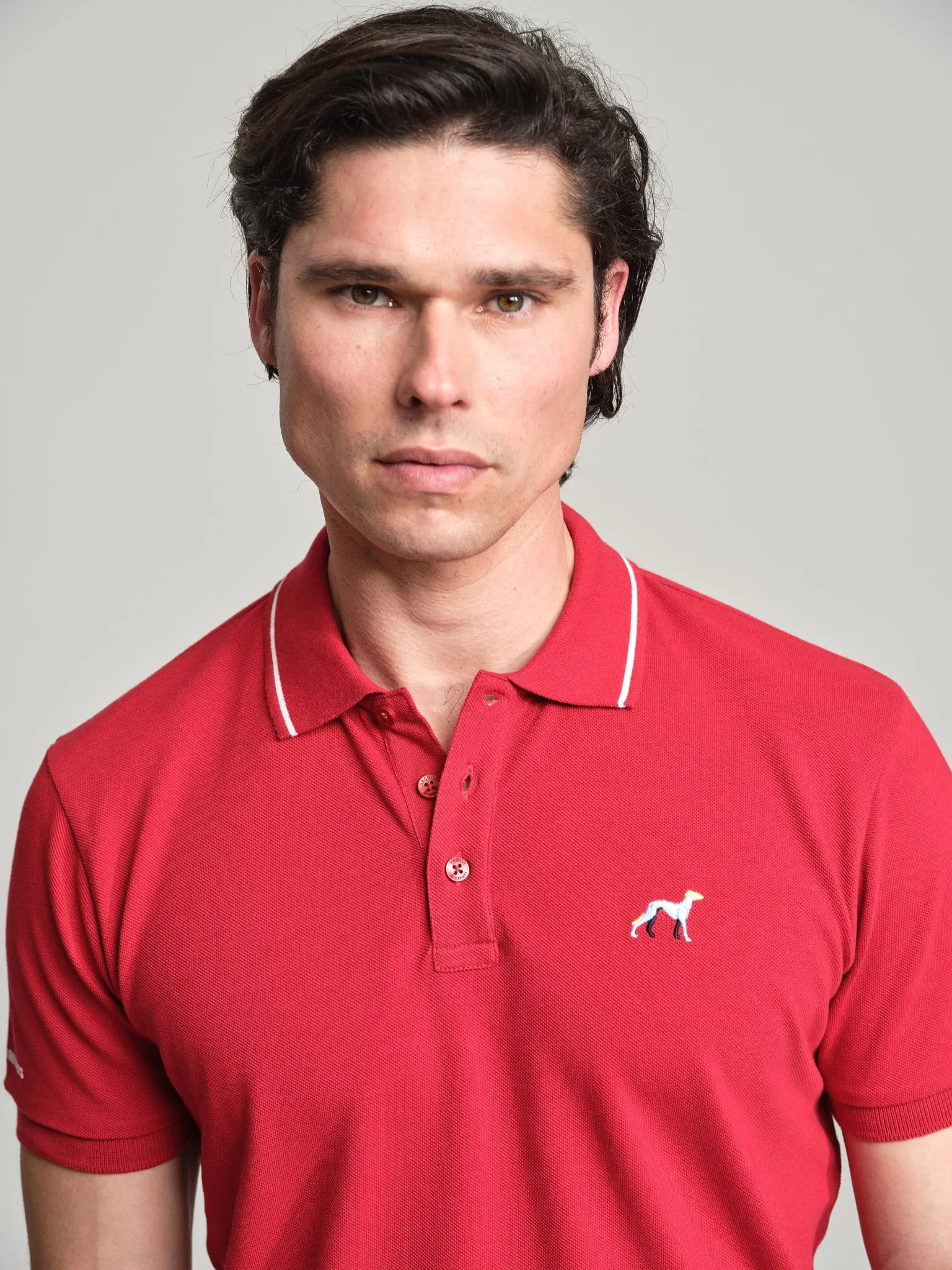 Casual piquet polo shirt with multicolored logo