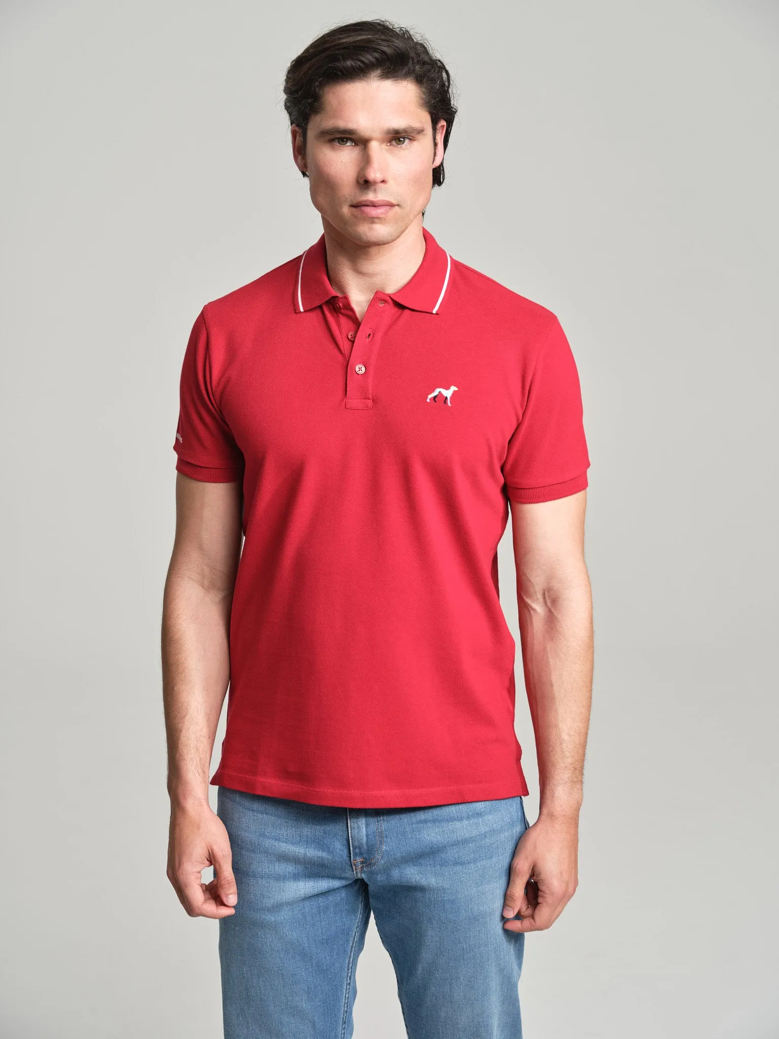 Casual piquet polo shirt with multicolored logo