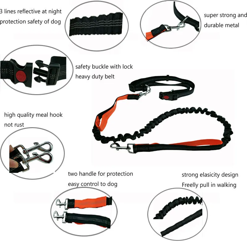 Elastic Running Dog Leash with Waist Belt